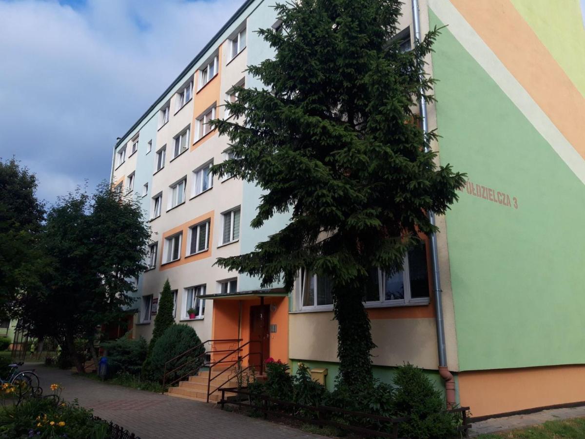 Apartament Aleksander Ciechocinek Exteriér fotografie